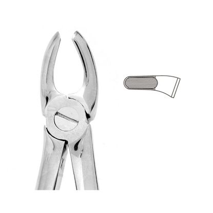 Forceps No.39 (Unodent) Premier Child Upper Molars Autoclavable x 1