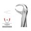 Forceps No.86 (Unodent) Premier Lower Molars (Cowhorn) Autoclavable x 1