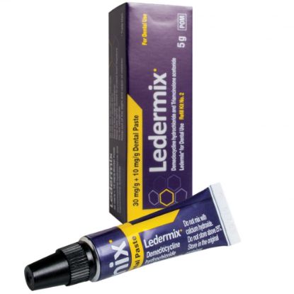 Ledermix Paste Refill No.2 5g