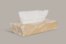 Facial Tissues (Mansize) 100 Tissues x 24 Boxes 2 Ply