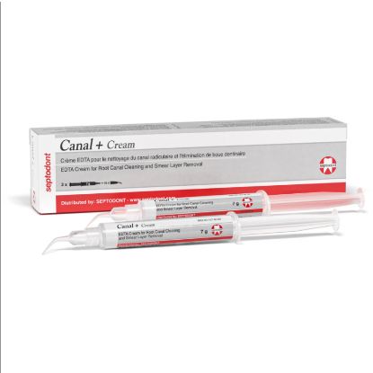 Endodontic Material Canal Plus (Septodont) 2 x 7g