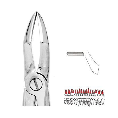 Forceps No.51 (Unodent) Upper Roots/3Rd Molars Autoclavable x 1