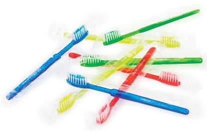 Toothbrush (Cavex) Rush Brush Impregnated x 100