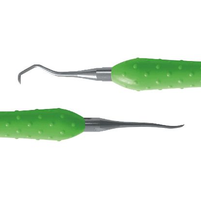 Scaler Flexichange (Dentsply) Ash Mf 2/3 Green x 1