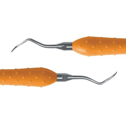 Scaler Flexichange (Dentsply) Ash Mini Serpit Orange x 1