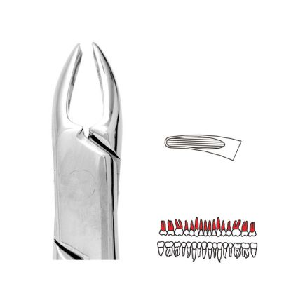 Forceps No.76N (Unodent) Premier Small Upper Roots (Read) Autoclavable x 1