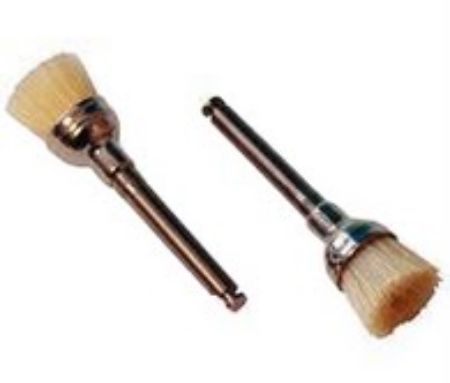Picture for category Prophy Brush