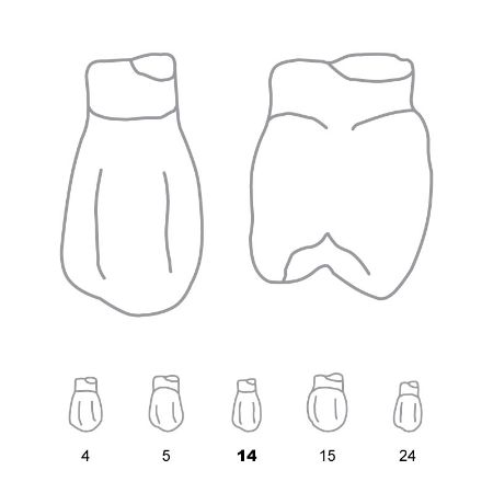 Picture for category Bi-Cuspids