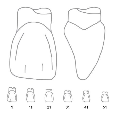 Picture for category Central