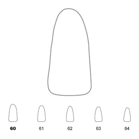 Picture for category Lower Incisors
