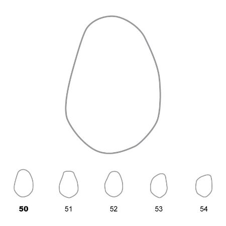 Picture for category Lower Promolars