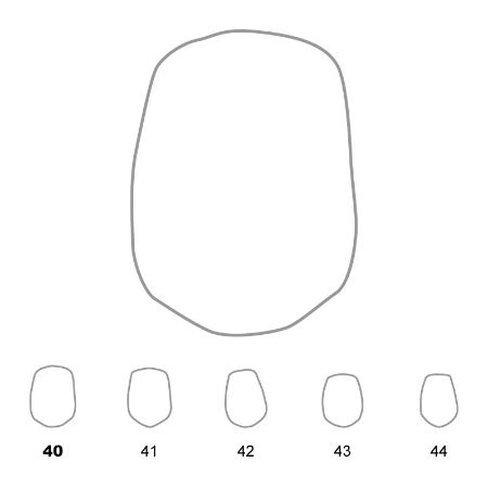 Picture for category Upper Premolars