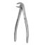Hu-Friedy No 13 Forceps Lower Anterior Premolar + Roots