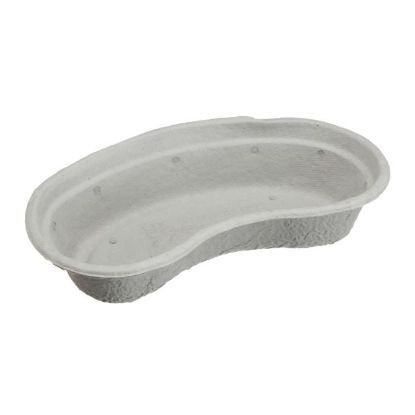 pulp kidney dish