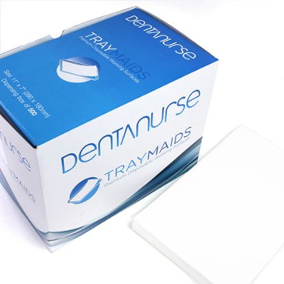 dentanurse tray maids