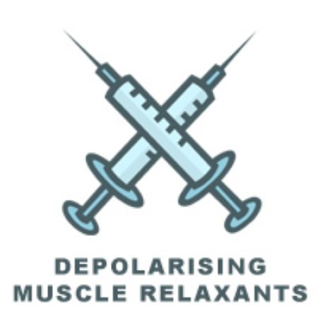 Picture for category Depolarisng Muscle Relaxants