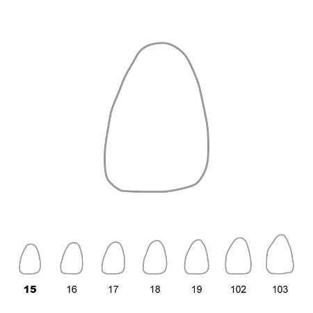 Picture for category Polycarbonate Crowns